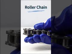 Chaîne à rouleaux de pas en acier inoxydable anti-corrosion C2040 25,4 mm pour convoyeur à usage industriel