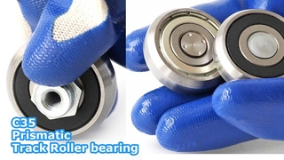 Rouleau prismatique C35 (C35-2RS ZZ) : spécialisé pour les rails T/U compacts de 35 mm