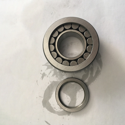 Rameau à rouleaux cylindriques renforcés de cage en nylon NJ209 NJ209-E-TVP2