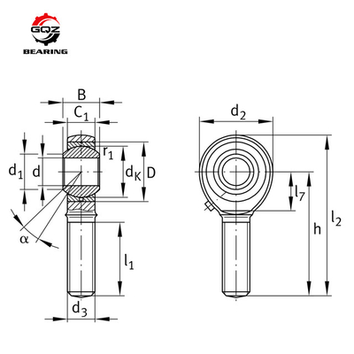 En gros, les extrémités des tiges de 50 mm SIA50ES-2RS et les roulements de super précision SI