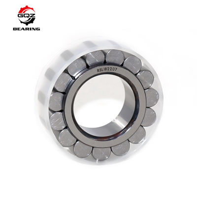 RSL183008 roulement à rouleaux cylindriques à rangée unique complet 40x61.74x21 mm