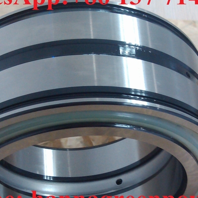 Sl045014 Rameau à rouleaux cylindriques complète Sl04 5014 Pp Nnf5014