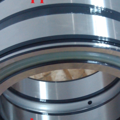 Sl045014 Rameau à rouleaux cylindriques complète Sl04 5014 Pp Nnf5014