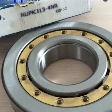 NUP313-4N Rameaux à rouleaux cylindriques NUPK313-4NRS02C3 Rameau à rouleaux avec anneau de coupure