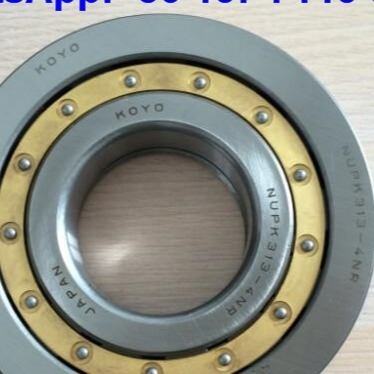 NUP313-4N Rameaux à rouleaux cylindriques NUPK313-4NRS02C3 Rameau à rouleaux avec anneau de coupure