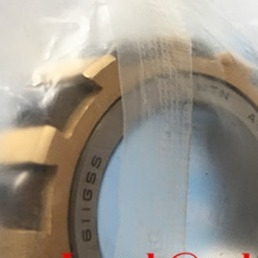 611 GSS (A-BE-NKZ27.5X47X14-2) roulement à rouleaux cylindriques excentriques de 27,5 x 47 x 14 mm ISO